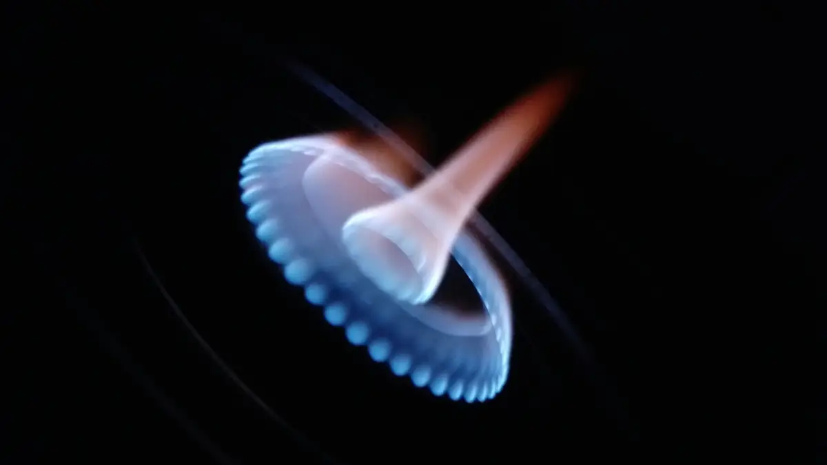 A blue gas flame lighting on a burner