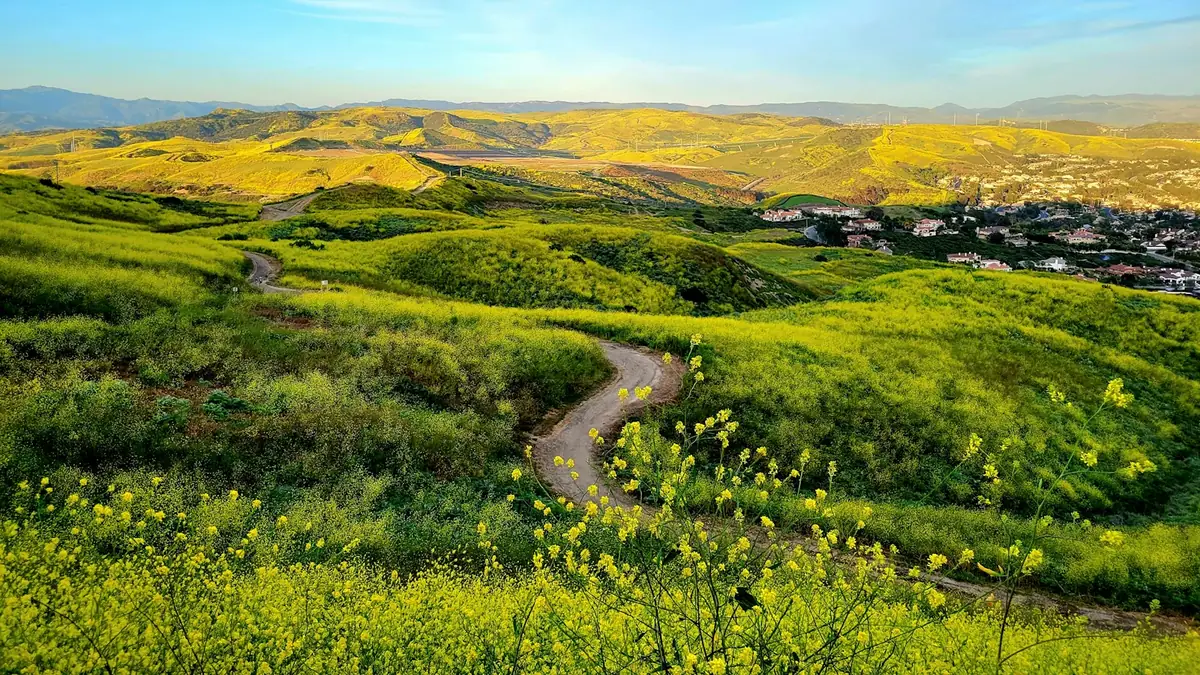 Green hills and a winding trail above a Southern California suburb - Water Heater Repair in Whittier